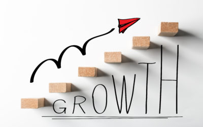 Wholistic Business Growth